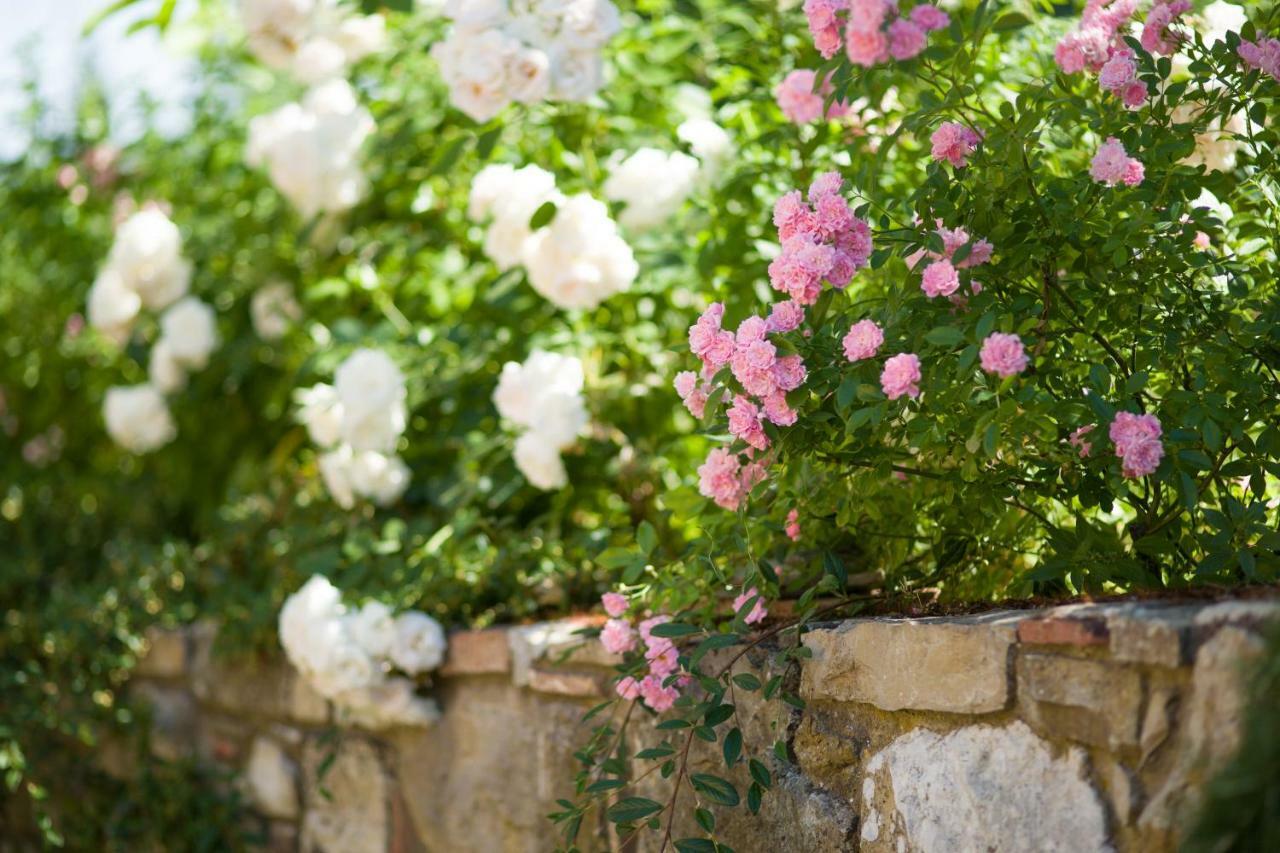 Ancora Del Chianti Bed & Breakfast *