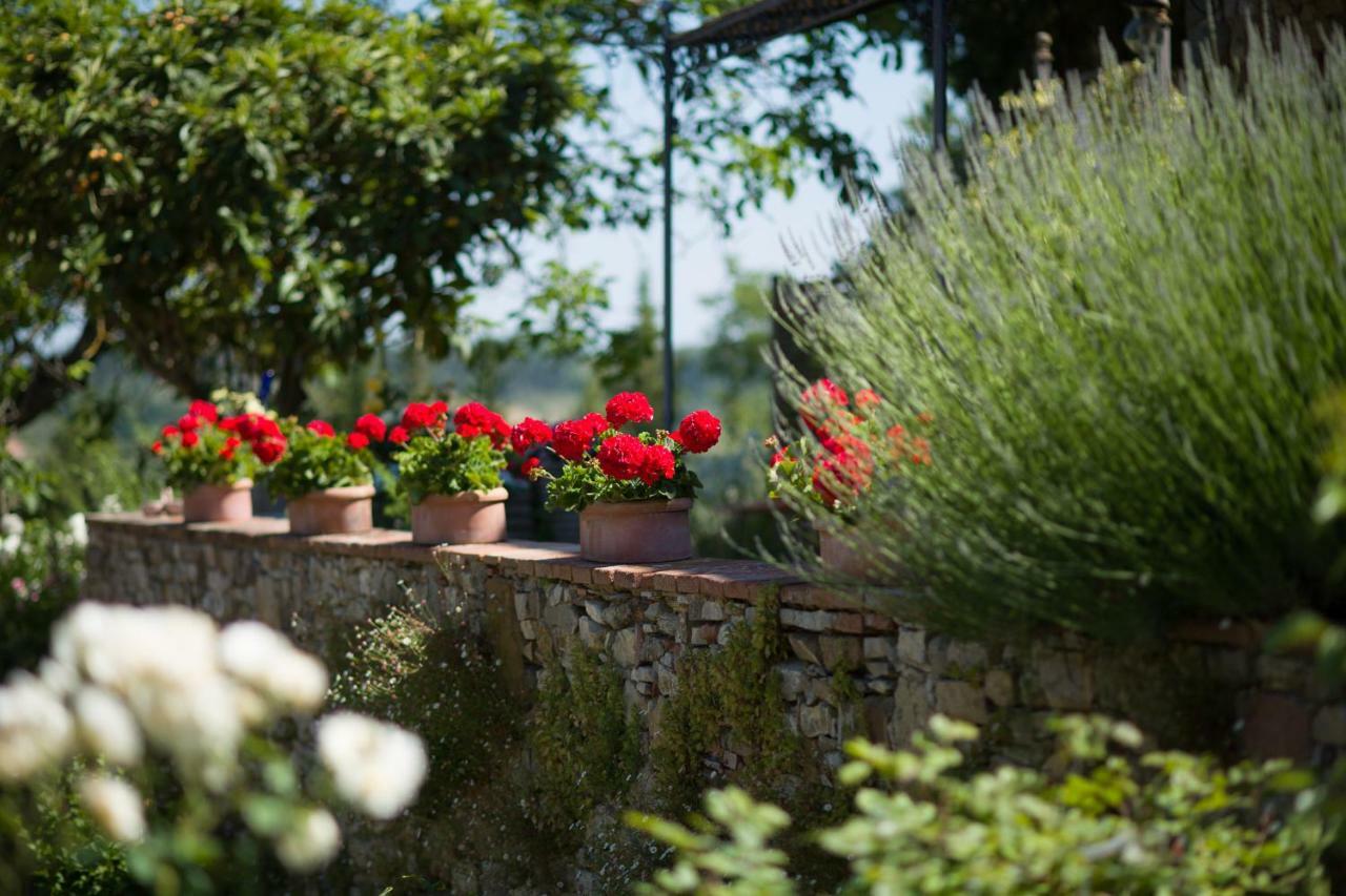 Ancora Del Chianti